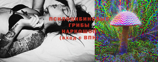соль ск Касимов