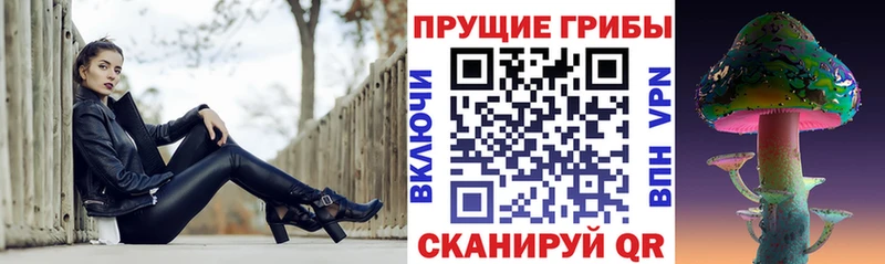 Псилоцибиновые грибы Psilocybe  Купить где  Катав-Ивановск 